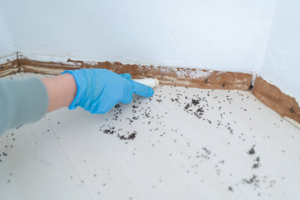 Best Pest Prevention Services  in Holmen, WI